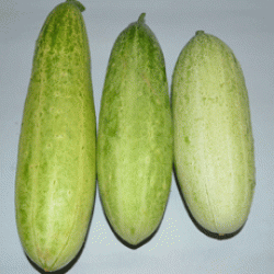 Saturnus