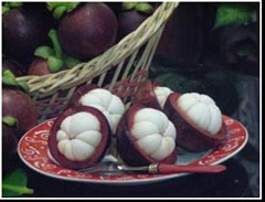 Ratu Kamang
