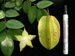 Pasar Minggu